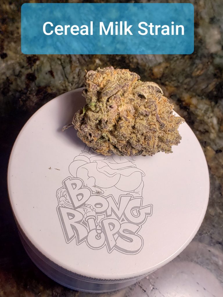 Cereal Milk Strain Smells like Captain Crunch Milk B.R.O