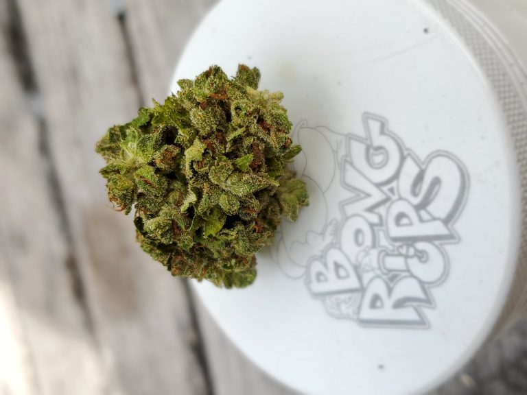 Lemon Tree Strain Review