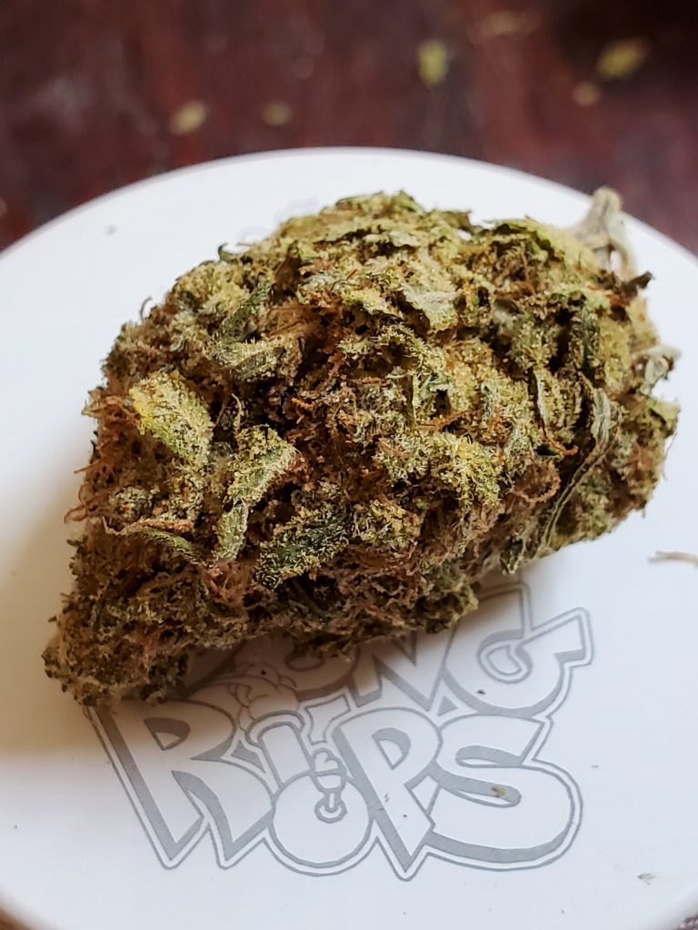 Lemon Banana Sherbet Strain